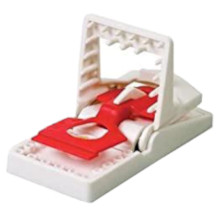 The Big Cheese trappe à souris