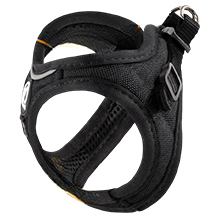 Tierhood harnais pour chats