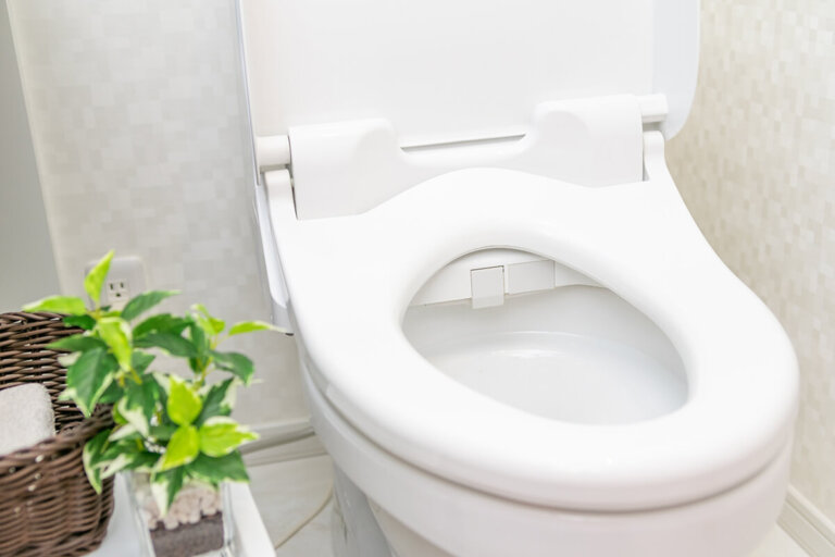 abattant WC