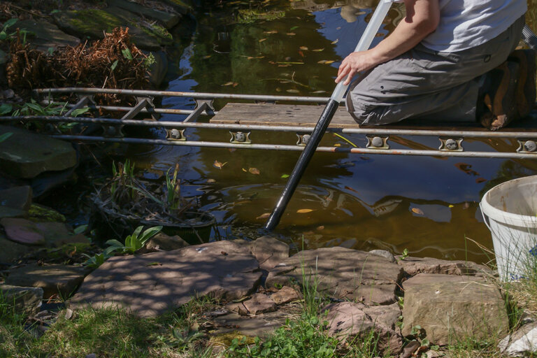 aspirateur de bassin