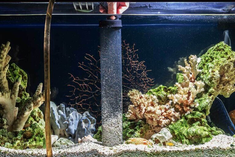 aspirateur de boues pour aquarium