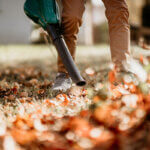 aspirateur de feuilles sans fil
