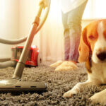 aspirateur pour poils d'animaux