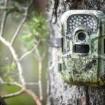 caméra de chasse