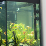 chauffage pour aquarium