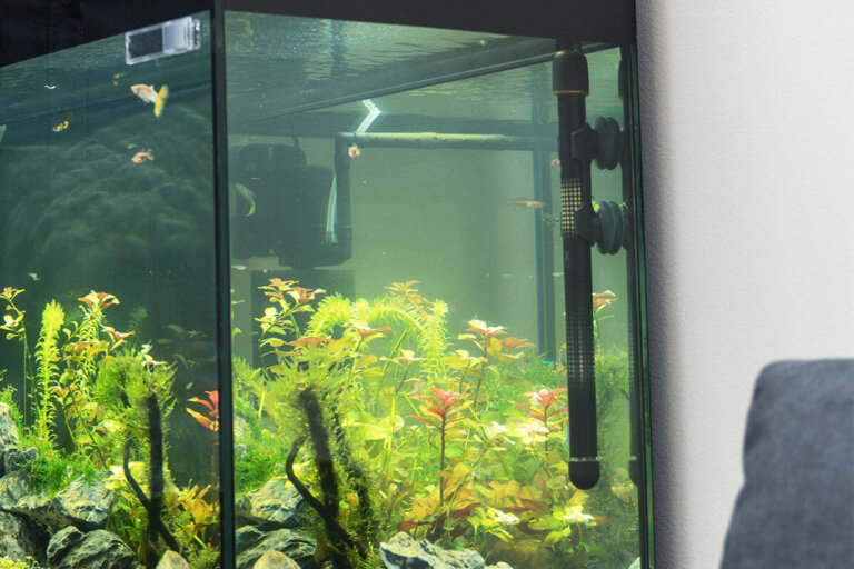 chauffage pour aquarium