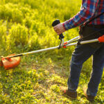 coupe-bordures thermique