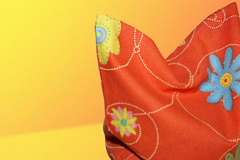 coussin noyaux de cerise