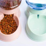 distributeur de nourriture pour chats