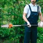 élagueuse sur perche