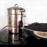 extracteur de jus à vapeur