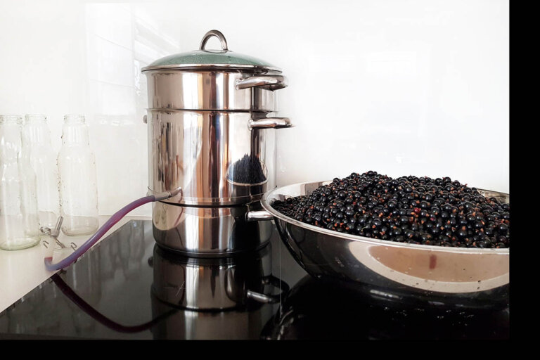 extracteur de jus à vapeur