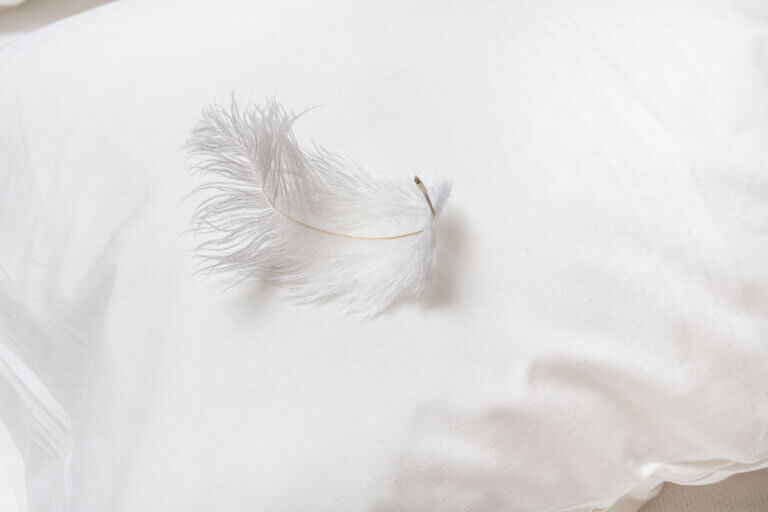 oreiller en plumes