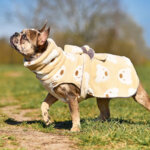 peignoir pour chiens