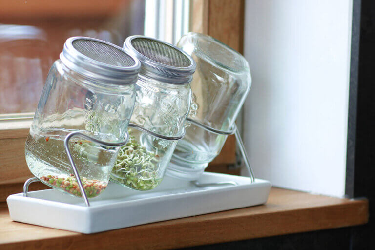 pot pour germination