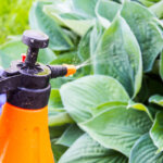 pulvérisateur à pression