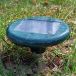 répulsif animaux à ultrasons