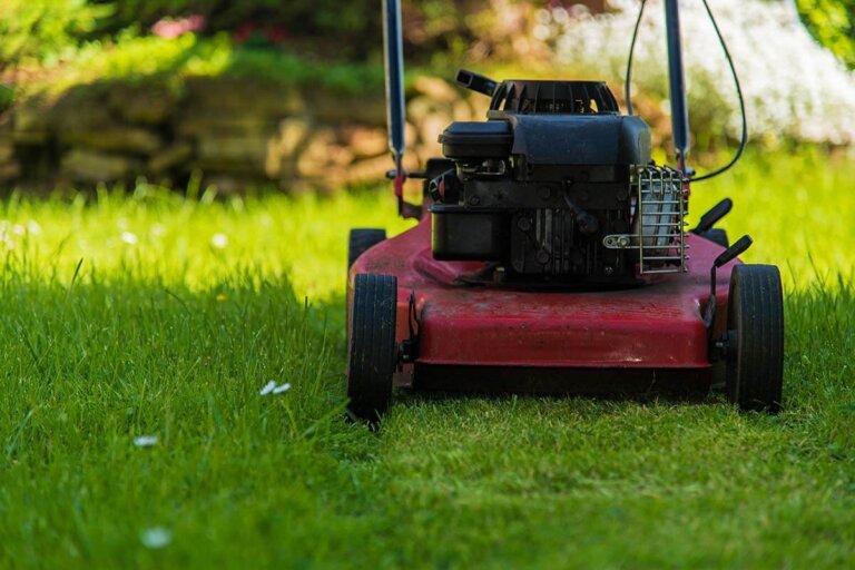 scarificateur à essence
